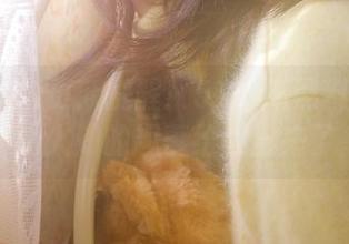 更新提醒！51吃瓜黑料网又把不为人知的趣事给丢出来了。