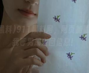 911黑料网，网页加载慢得像我等男朋友回信息！
