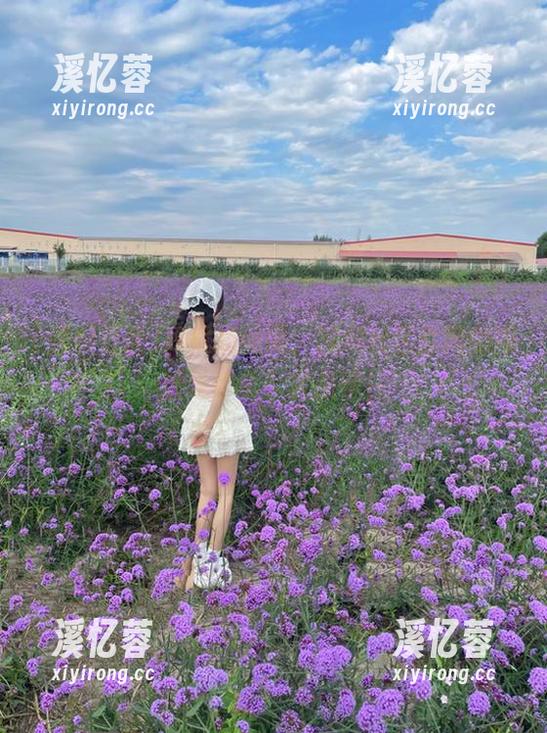 黑料社区 我就想问问,黑料社区官网的网址是哪个?求推荐!